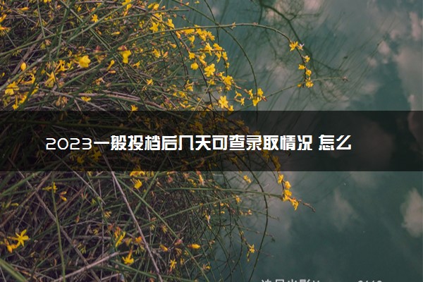 2023一般投档后几天可查录取情况 怎么查