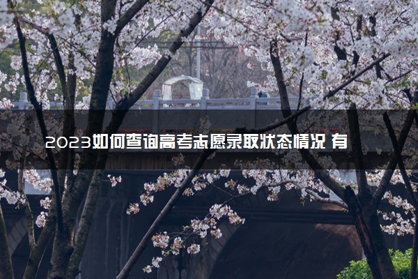 2023如何查询高考志愿录取状态情况 有哪些方法