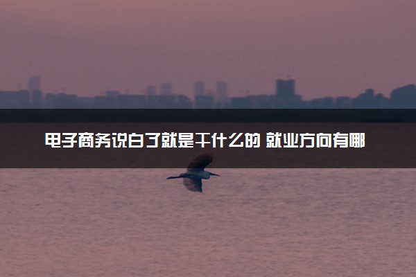 电子商务说白了就是干什么的 就业方向有哪些