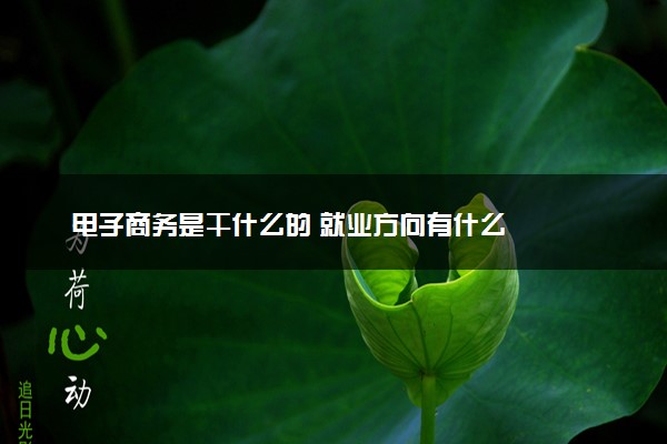 电子商务是干什么的 就业方向有什么