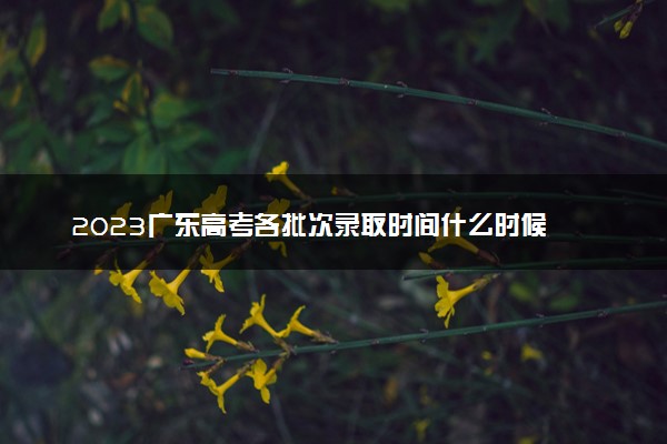 2023广东高考各批次录取时间什么时候 几号开始录取