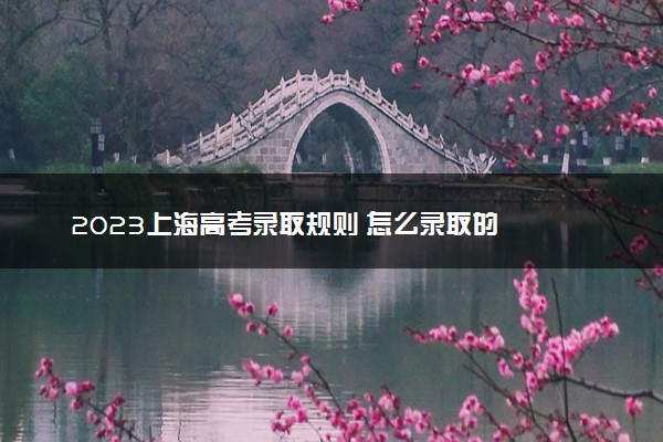 2023上海高考录取规则 怎么录取的