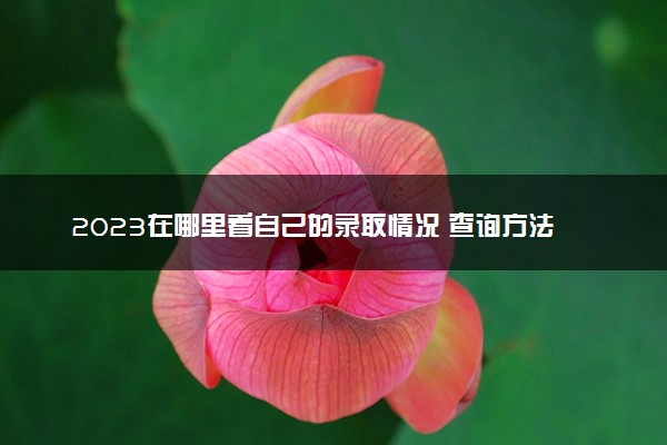 2023在哪里看自己的录取情况 查询方法是什么