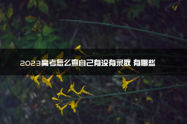 2023高考怎么查自己有没有录取 有哪些查询方法