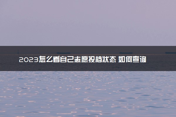 2023怎么看自己志愿投档状态 如何查询
