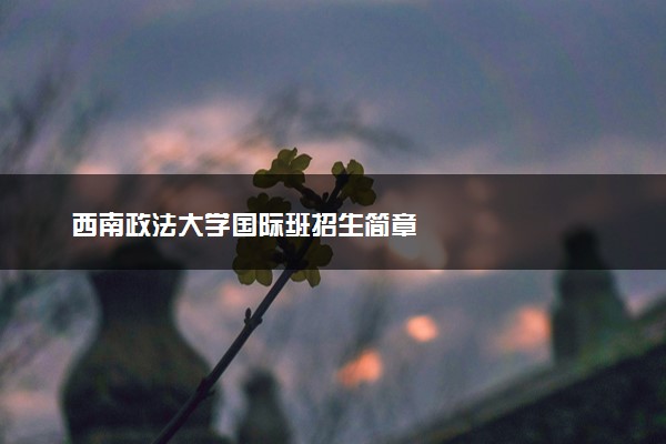 西南政法大学国际班招生简章