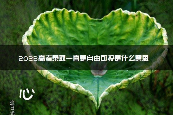 2023高考录取一直是自由可投是什么意思