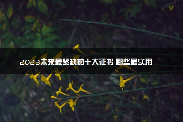 2023未来最紧缺的十大证书 哪些最实用