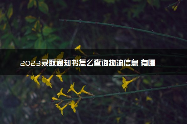 2023录取通知书怎么查询物流信息 有哪些方法