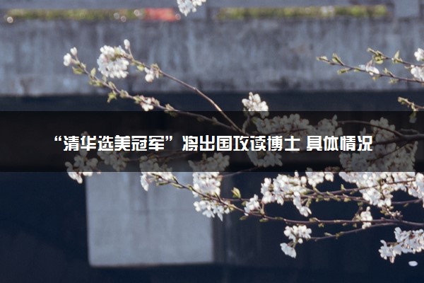 “清华选美冠军”将出国攻读博士 具体情况