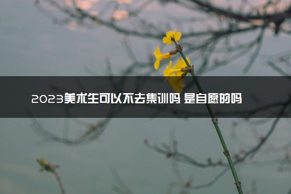 2023美术生可以不去集训吗 是自愿的吗