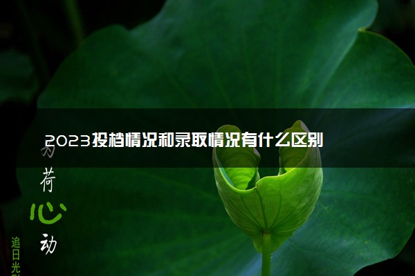 2023投档情况和录取情况有什么区别  分别是什么意思
