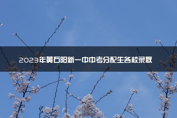 2023年黄石阳新一中中考分配生各校录取分数线是多少