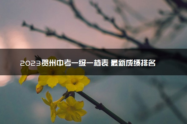 2023贺州中考一级一档表 最新成绩排名