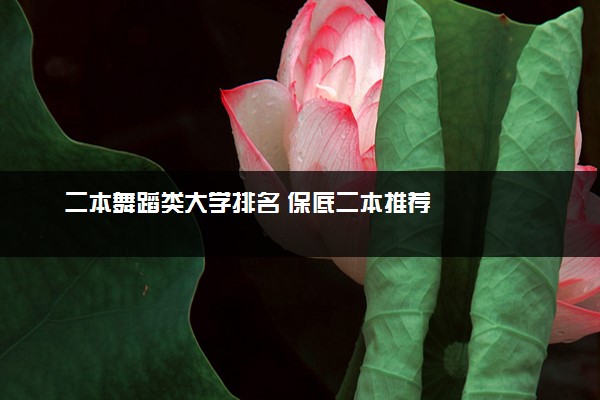二本舞蹈类大学排名 保底二本推荐