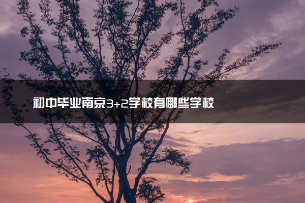 初中毕业南京3+2学校有哪些学校