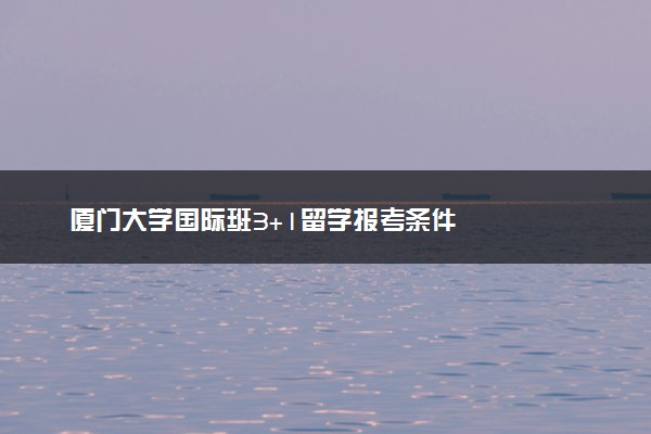 厦门大学国际班3+1留学报考条件