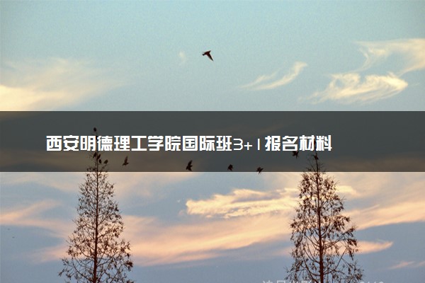西安明德理工学院国际班3+1报名材料