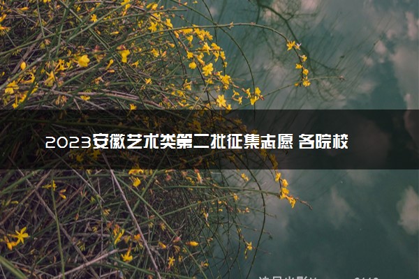 2023安徽艺术类第二批征集志愿 各院校计划招生几人