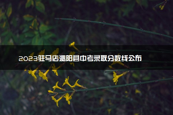 2023驻马店泌阳县中考录取分数线公布 最低分数线出炉