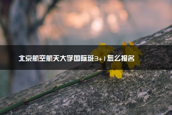 北京航空航天大学国际班3+1怎么报名