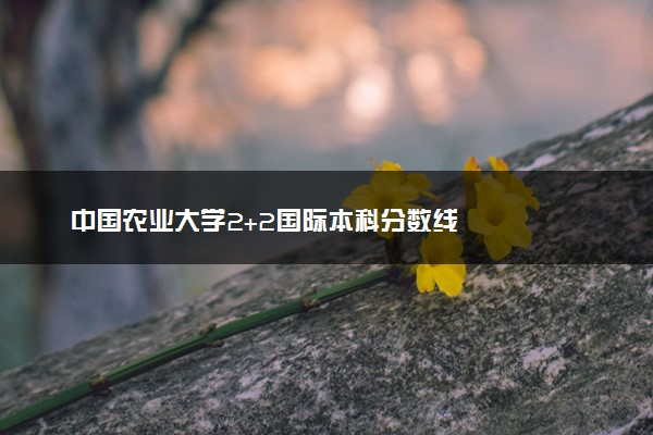 中国农业大学2+2国际本科分数线