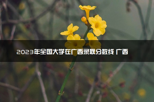 2023年全国大学在广西录取分数线 广西高校投档线