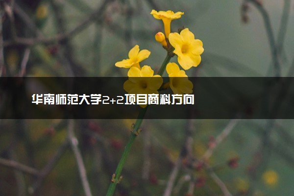 华南师范大学2+2项目商科方向