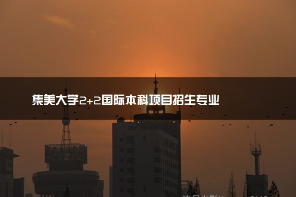 集美大学2+2国际本科项目招生专业