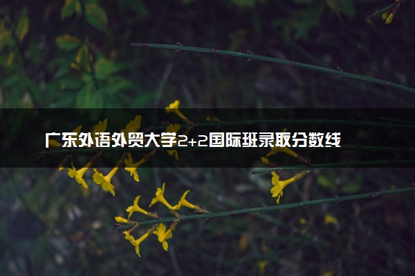 广东外语外贸大学2+2国际班录取分数线