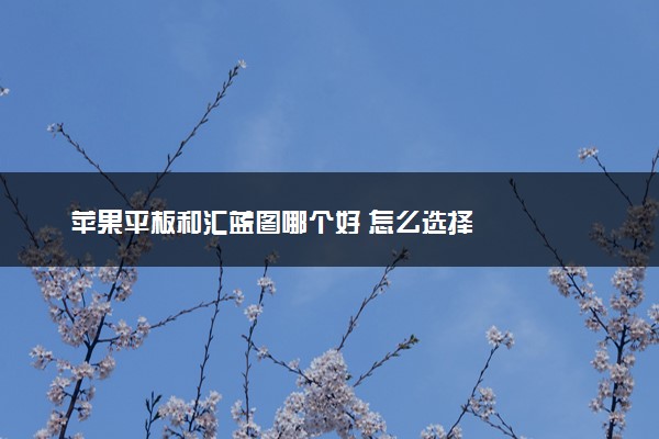 苹果平板和汇蓝图哪个好 怎么选择