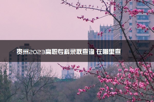 贵州2023高职专科录取查询 在哪里查