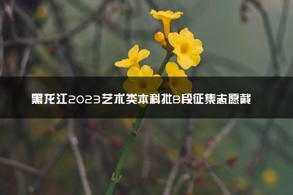 黑龙江2023艺术类本科批B段征集志愿截止时间