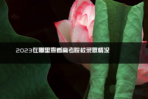 2023在哪里查看高考院校录取情况
