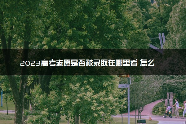 2023高考志愿是否被录取在哪里看 怎么查询