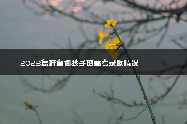 2023怎样查询孩子的高考录取情况