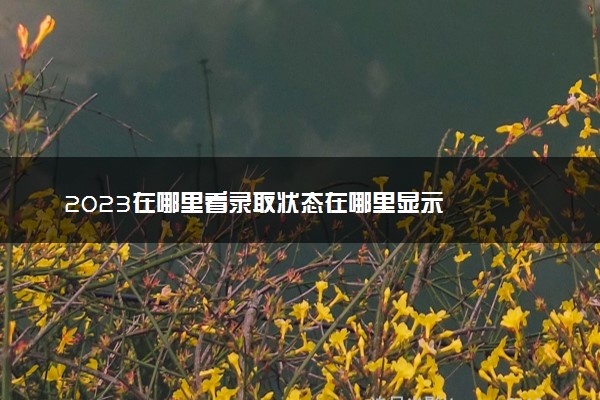 2023在哪里看录取状态在哪里显示