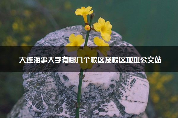 大连海事大学有哪几个校区及校区地址公交站点 分别都在哪里
