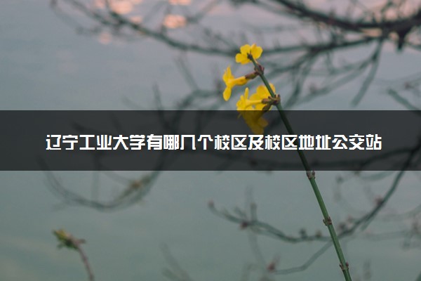 辽宁工业大学有哪几个校区及校区地址公交站点 分别都在哪里