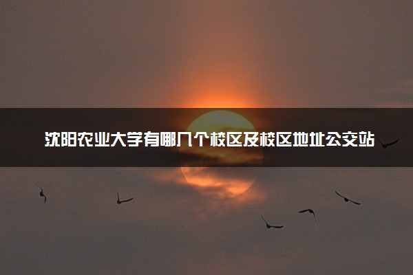 沈阳农业大学有哪几个校区及校区地址公交站点 分别都在哪里