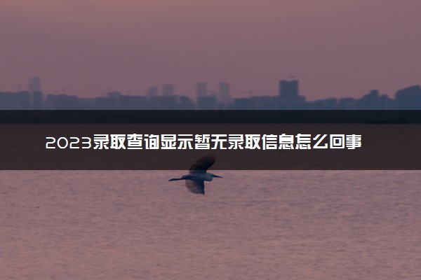 2023录取查询显示暂无录取信息怎么回事 没被录取吗