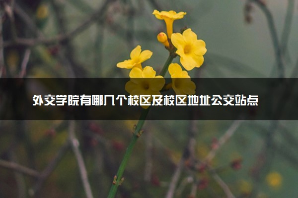 外交学院有哪几个校区及校区地址公交站点 分别都在哪里