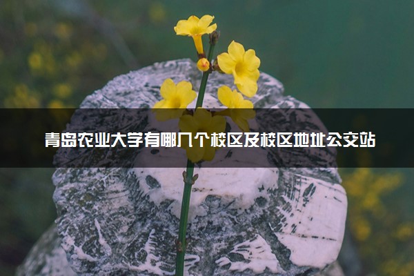 青岛农业大学有哪几个校区及校区地址公交站点 分别都在哪里
