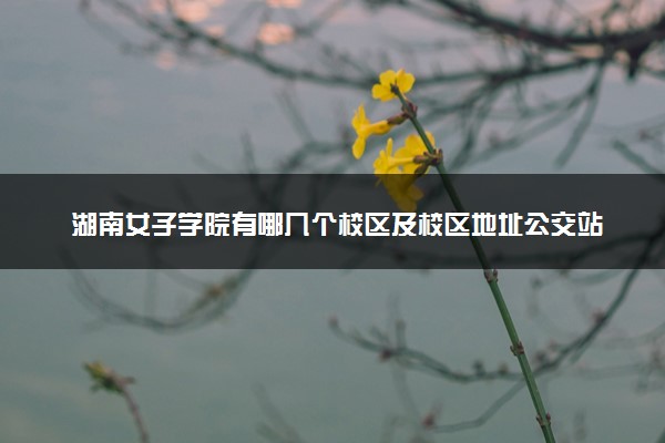 湖南女子学院有哪几个校区及校区地址公交站点 分别都在哪里