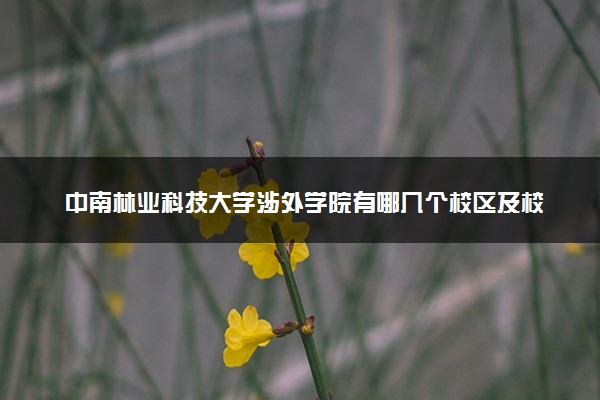 中南林业科技大学涉外学院有哪几个校区及校区地址公交站点 分别都在哪里
