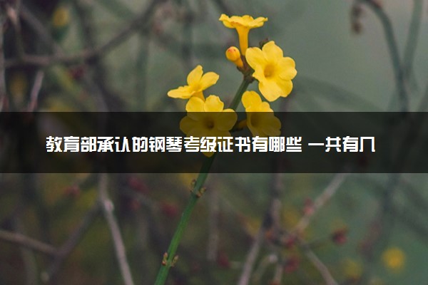 教育部承认的钢琴考级证书有哪些 一共有几级