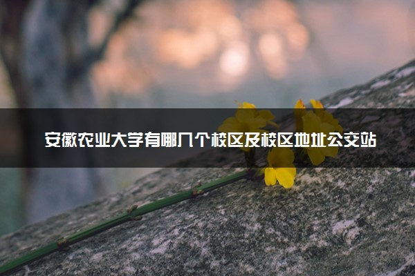 安徽农业大学有哪几个校区及校区地址公交站点 分别都在哪里