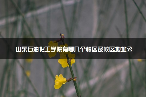 山东石油化工学院有哪几个校区及校区地址公交站点 分别都在哪里