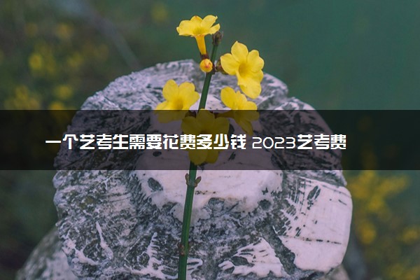 一个艺考生需要花费多少钱 2023艺考费用高不高