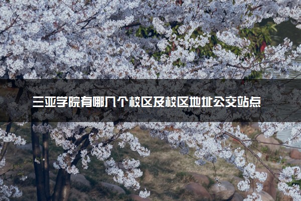 三亚学院有哪几个校区及校区地址公交站点 分别都在哪里